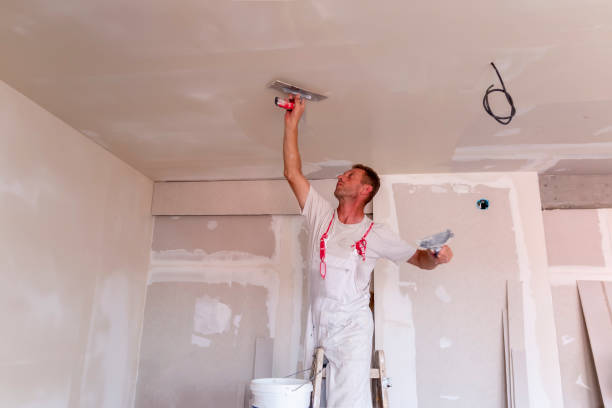 Reliable North Bellport, NY Drywall and Painting Service Solutions